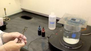 Endospore stain procedure [upl. by Attenborough331]