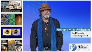 Paul Stamets Mycology and Mushrooms as Medicines [upl. by Sidnee]