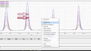 LabSolutions LCGC Workstation Basic Data Analysis [upl. by Ahon586]