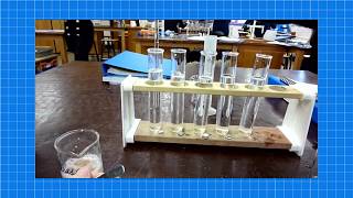 A level Biology ENZYMES REQUIRED PRACTICAL [upl. by Furr]