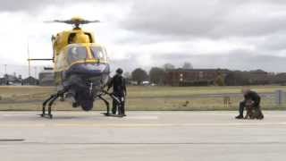 PSNI Dog Section amp Air Support Unit Training for G8 [upl. by Oinotnanauj]