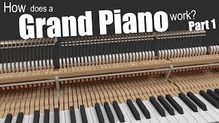 How does a Grand Piano work  Part 1 [upl. by Tennes]