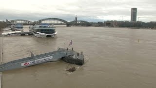 Hochwasser am Rhein Köln zieht Flutschutztore hoch  DER SPIEGEL [upl. by Erie]