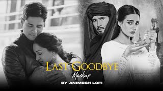 Last Goodbye Mashup  Mahi Mera Dil x Channa Ve  Animesh Lofi  Romantic Sad Mashup 2024 [upl. by Nnylyam]