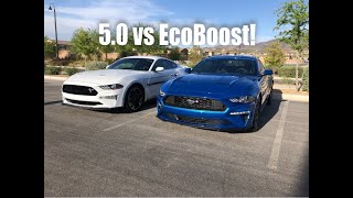 2019 Mustang GT vs 2019 Mustang EcoBoost RACE [upl. by Amberly245]