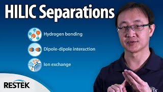 Understanding the HILIC Separation Method in LC [upl. by Ezarra676]