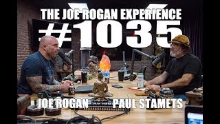 Joe Rogan Experience 1035  Paul Stamets [upl. by Bette-Ann679]