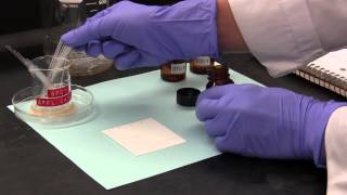 ThinLayer Chromatography TLC [upl. by Elyc]