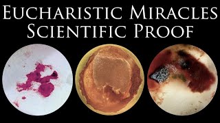 Eucharistic Miracles Scientific Proof that Eucharist is the Body of Christ [upl. by Kalli99]