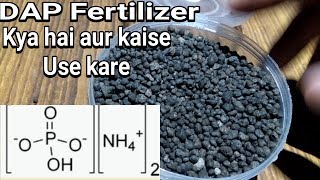 what is DAP fertilizer amp How to use DAP Fertilizer in plants [upl. by Avir]