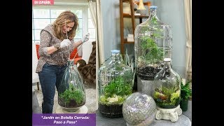 TERRARIOS 🌿 Cómo Hacer Un Jardin Dentro De Una Botella Cerrada  Shirley Bovshow [upl. by Lledrev]