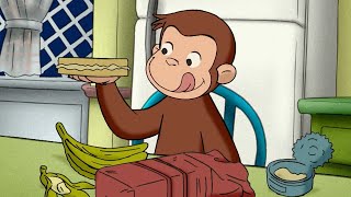 Curioso Come George 🐵 Imparare le responsabilità 🐵Cartoni per Bambini [upl. by Ioj]