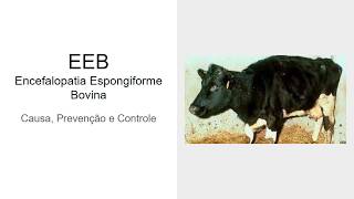 RAIVA  EEB  Encefalopatia Espongiforme Bovina [upl. by Anerbes717]